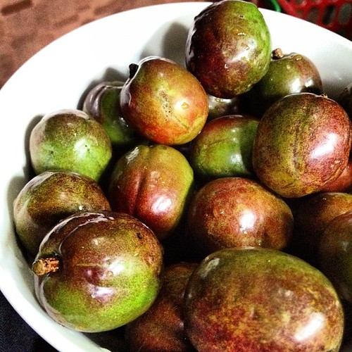 Munching Spanish Plum aka Siniguelas. vegetarian datgirl… Flickr
