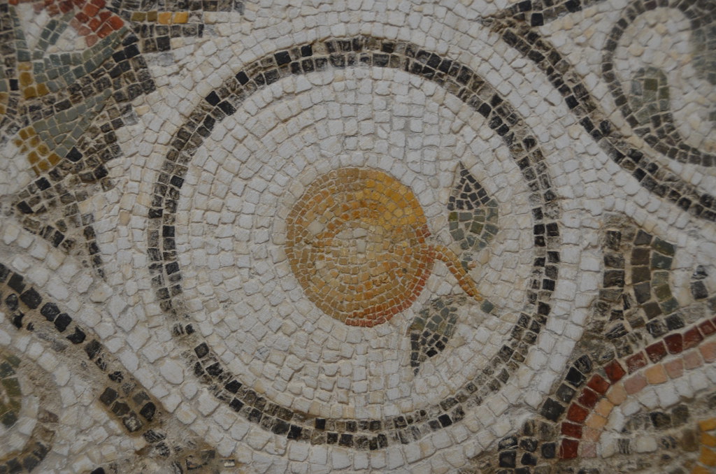 Roman mosaic in the elJem Archeological Museum (44) Flickr