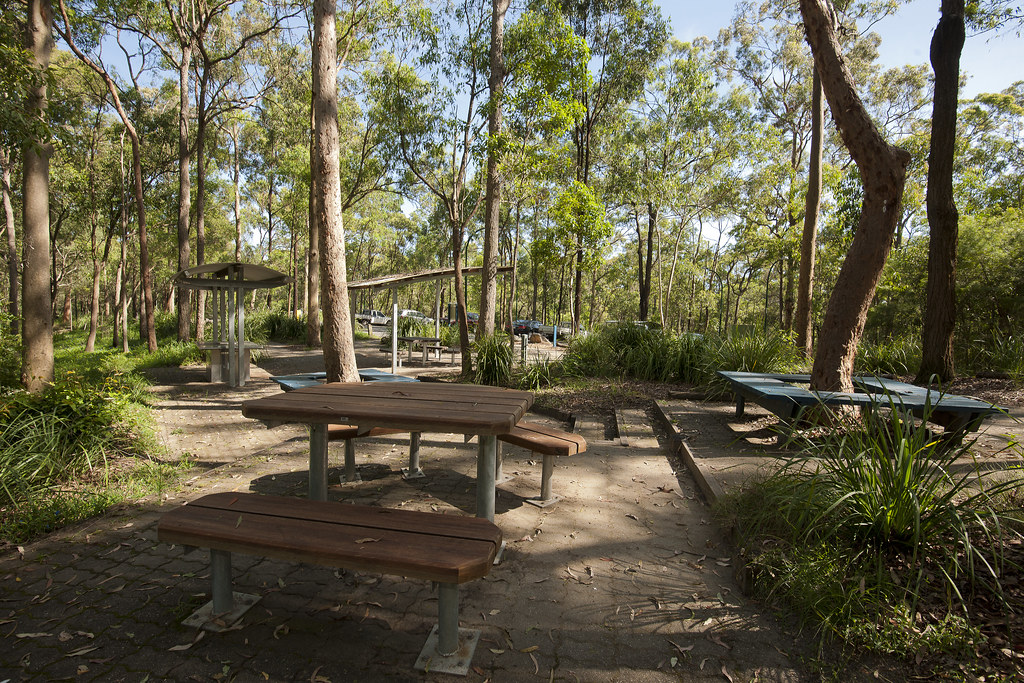 Picnic Area Picnic and rest area in Toohey Forest Park Brisbane
