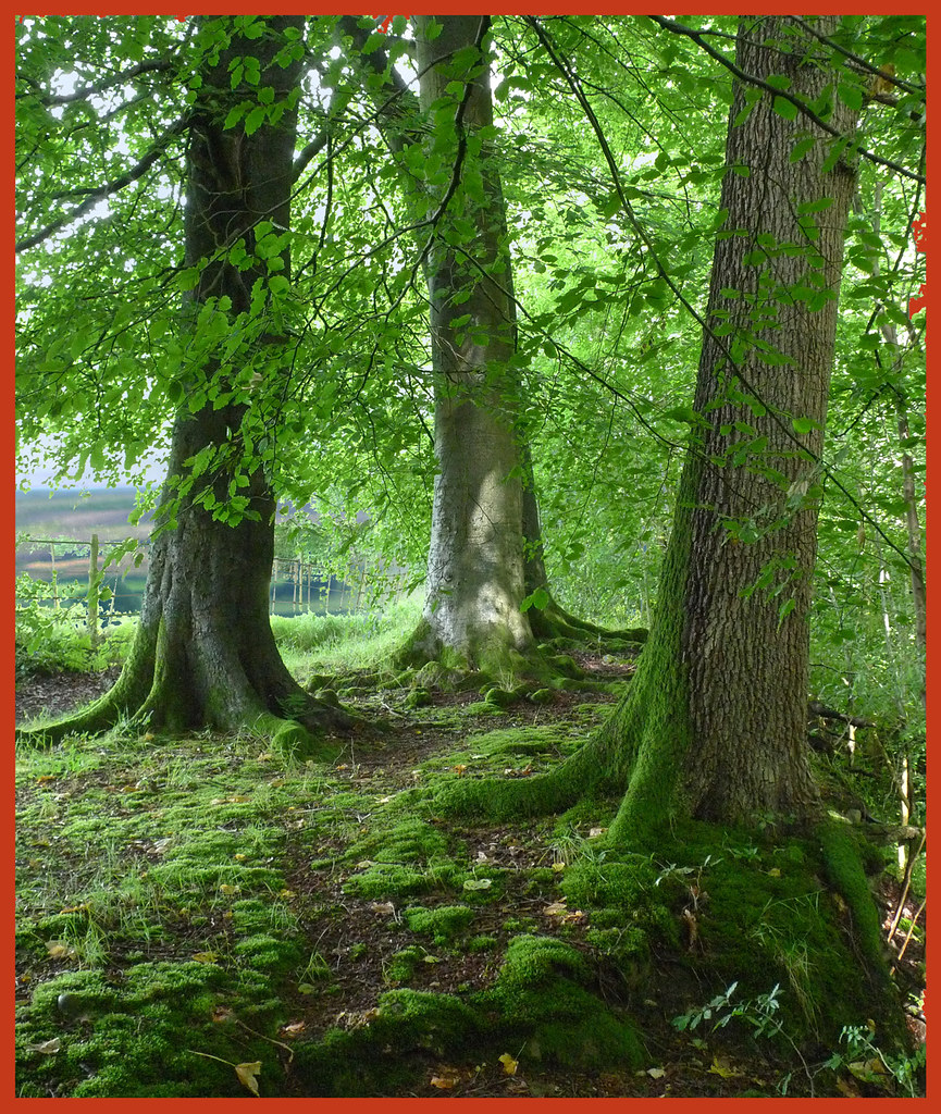 Knowle Green, Lancashire. Howard Somerville Flickr