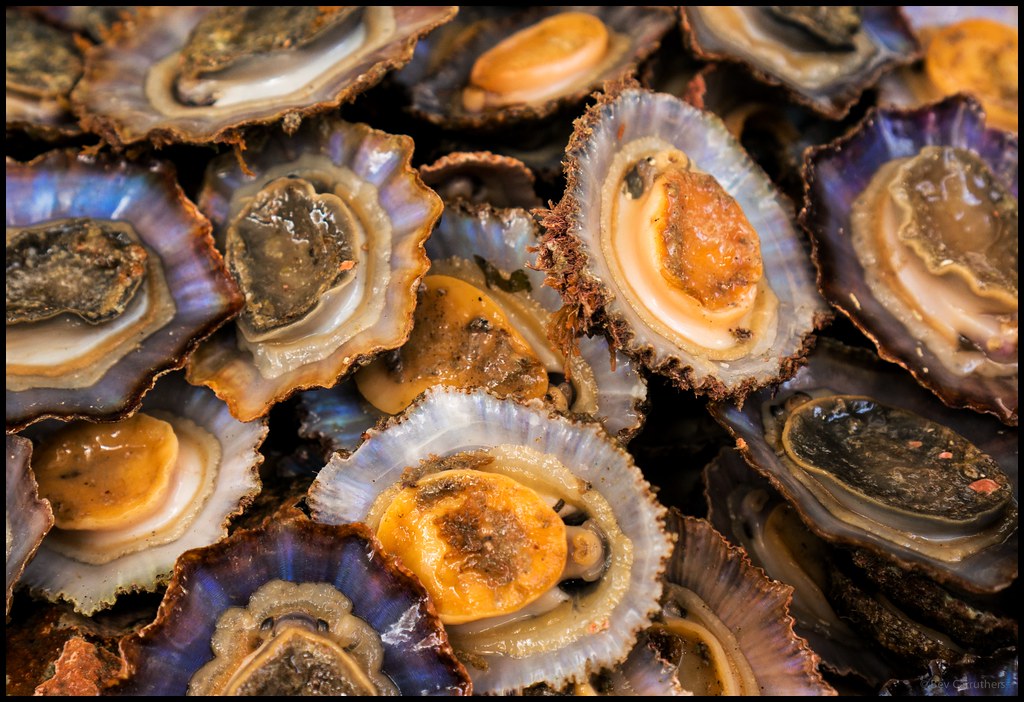 in the fish market , Funchal.... bev Flickr