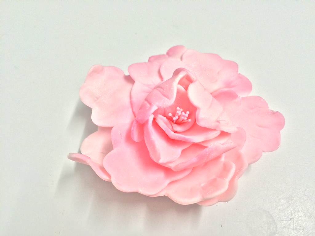 Sugar Flowers Layla's Sugar Flowers Flickr