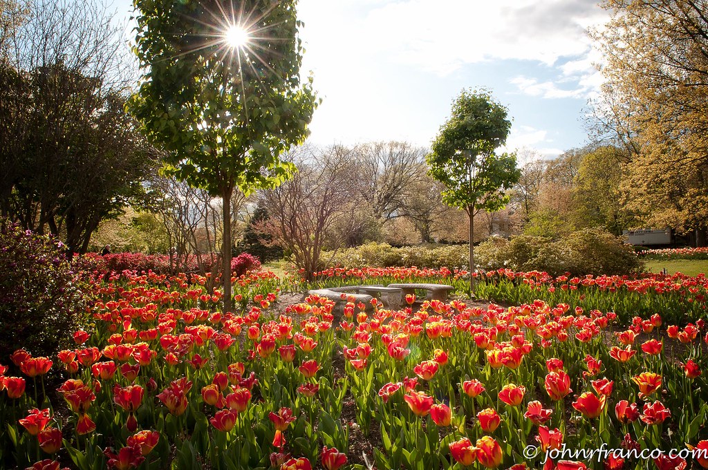 Sherwood Gardens Field Of Dreams Fine Photographic Images by John
