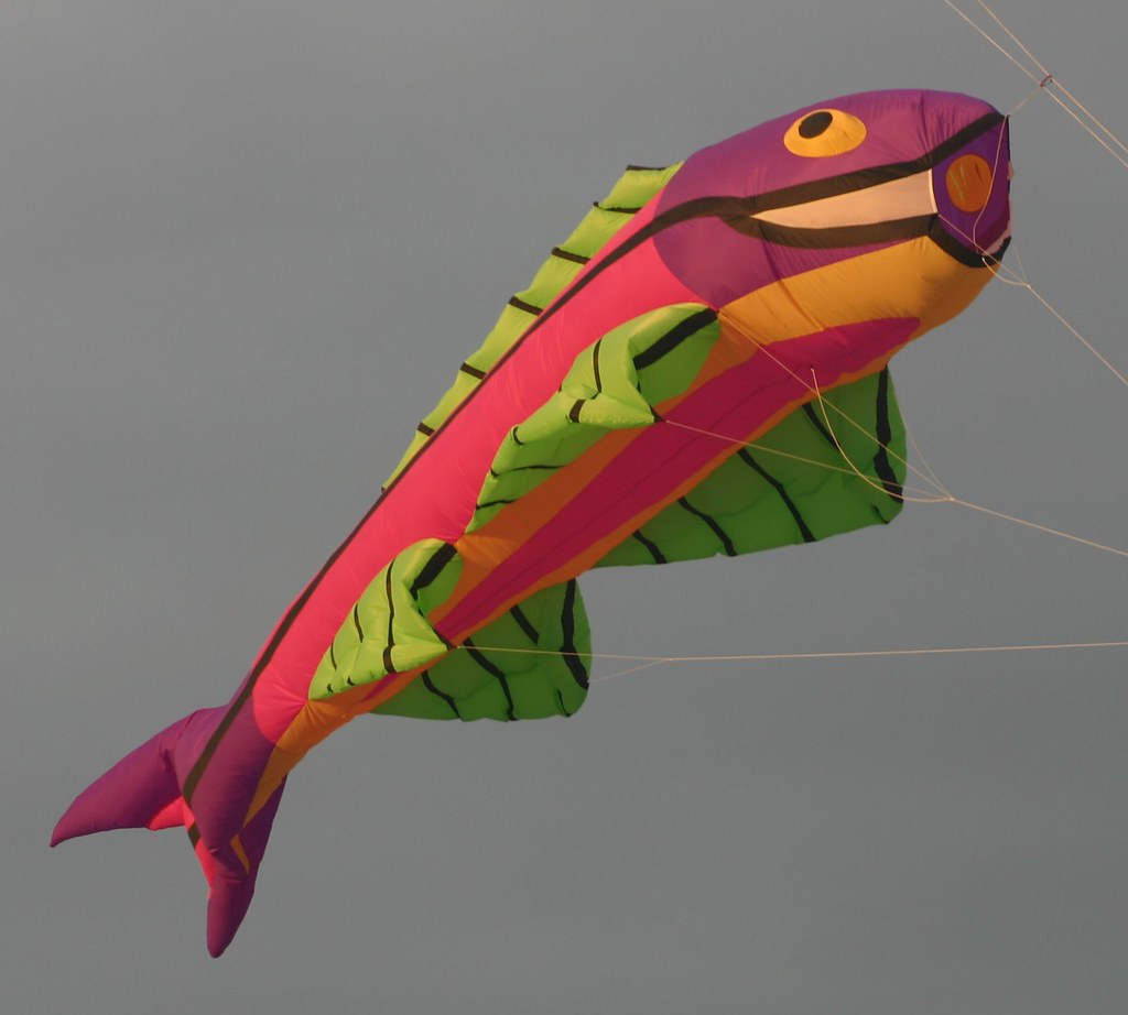 Kite Night Seaside Park 12 Kite Night Seaside Park A… Flickr