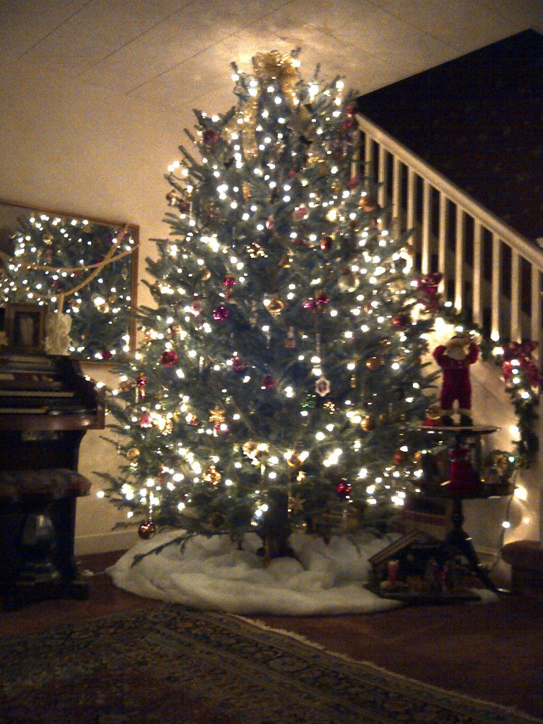 HartTTree Farms Christmas Tree from Huntington, NY Flickr