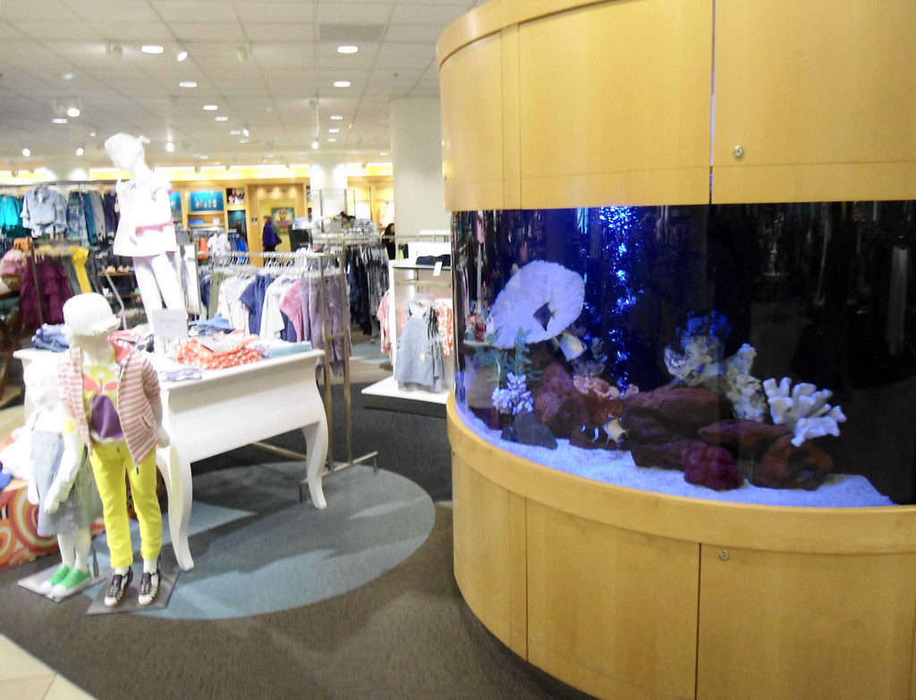 Nordstrom Flagship Downtown Seattle WA Beautiful Exotic Fi… Flickr