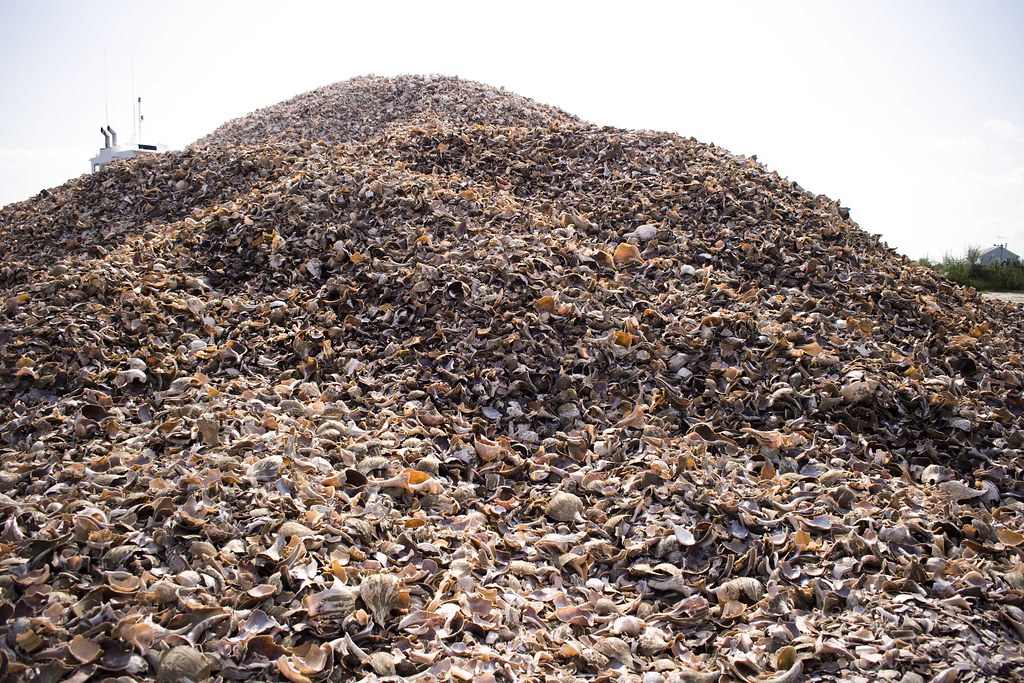 shell pile, nj a shell pile in shell pile. Heather Phillips Flickr