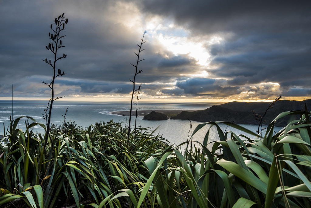 Manukau Head Coast It's a good feeling to be out again wit… Flickr