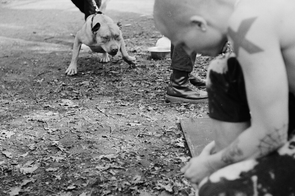 mf2 robin lambert Flickr