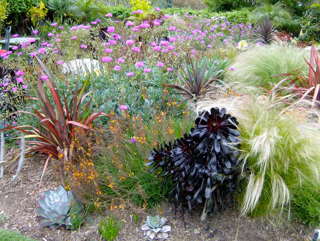 Carlsbad Garden Tour 2012 Flickr