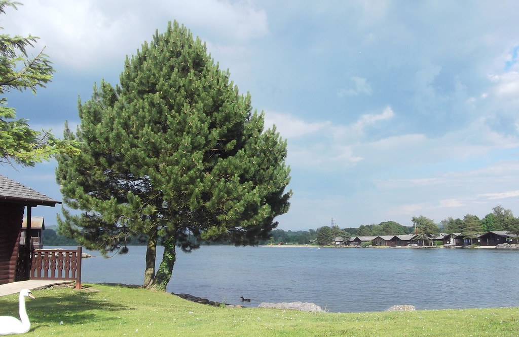 Dock AcresPine Lake, Carnforth LA6 1JZ South Lakeland Lei… Flickr