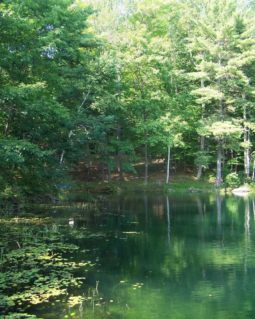 Coffee Pond, Casco (8) Ray Monahan Flickr