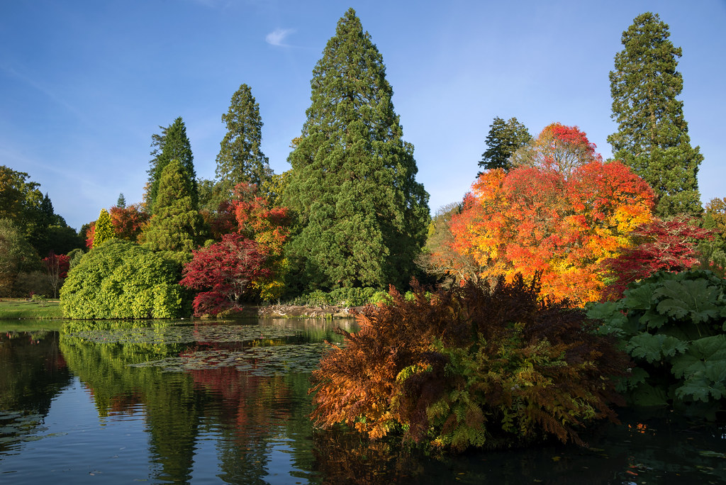Sheffield Park and Garden Sheffield Park and Garden Autumn… Flickr