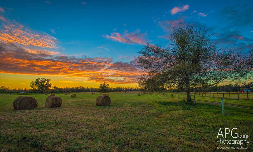 Elevation of Bryson Row, Vaucluse, SC, USA Topographic Map Altitude Map