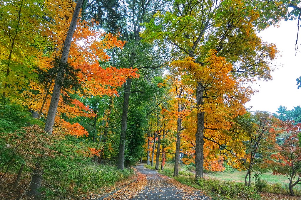 Lyndhurst Castle, Tarrytown, New York, USA Lyndhurst is a … Flickr