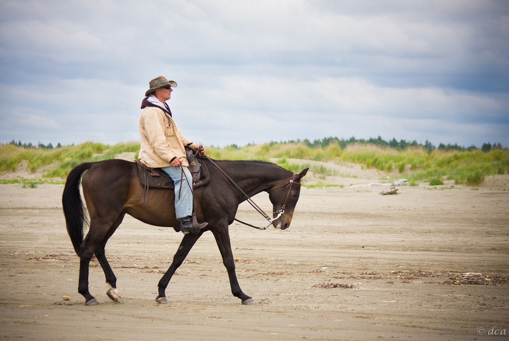 The Horse RIder dca Flickr