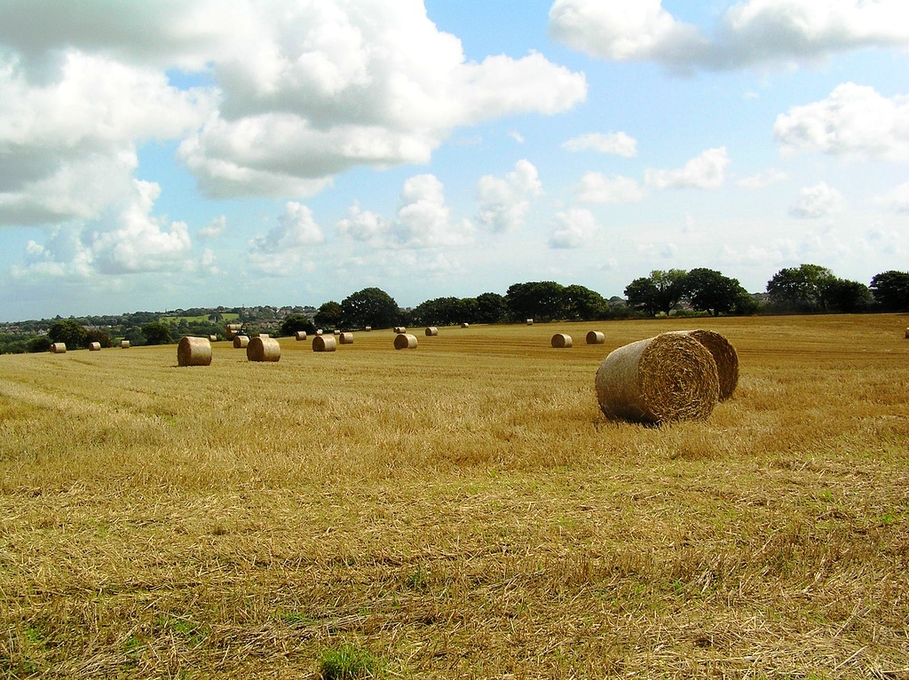 Hay Bales Isle of Wight Haybales Olympus C765UZ Flickr