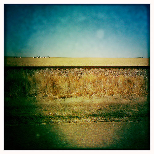Road Trip Tracks in Bloom Kansas Flickr