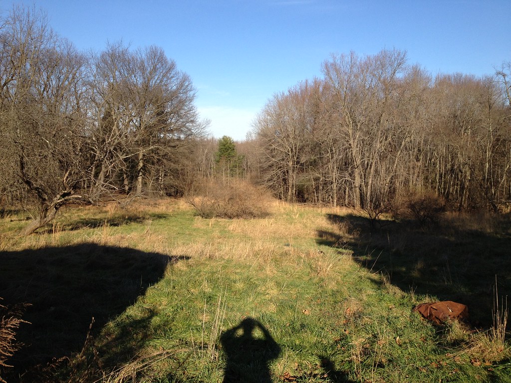 Millstone Township, NJ Michael Flickr