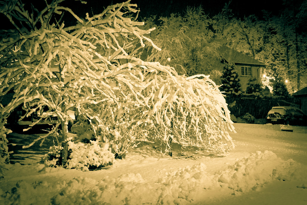 Craigerne, Peebles Steve Talas Flickr