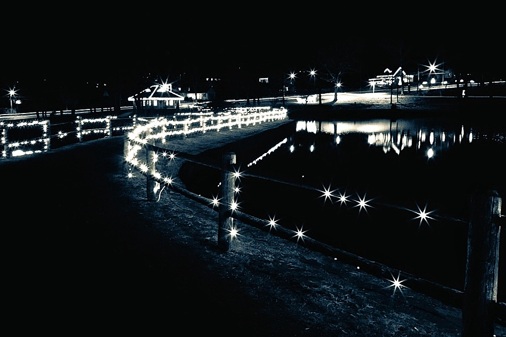 Christmas Lights B&W Steven Handley Flickr