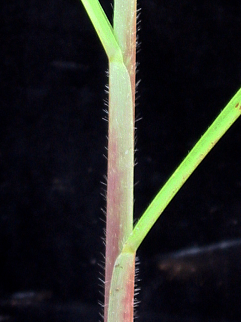 p_82b - a photo on Flickriver