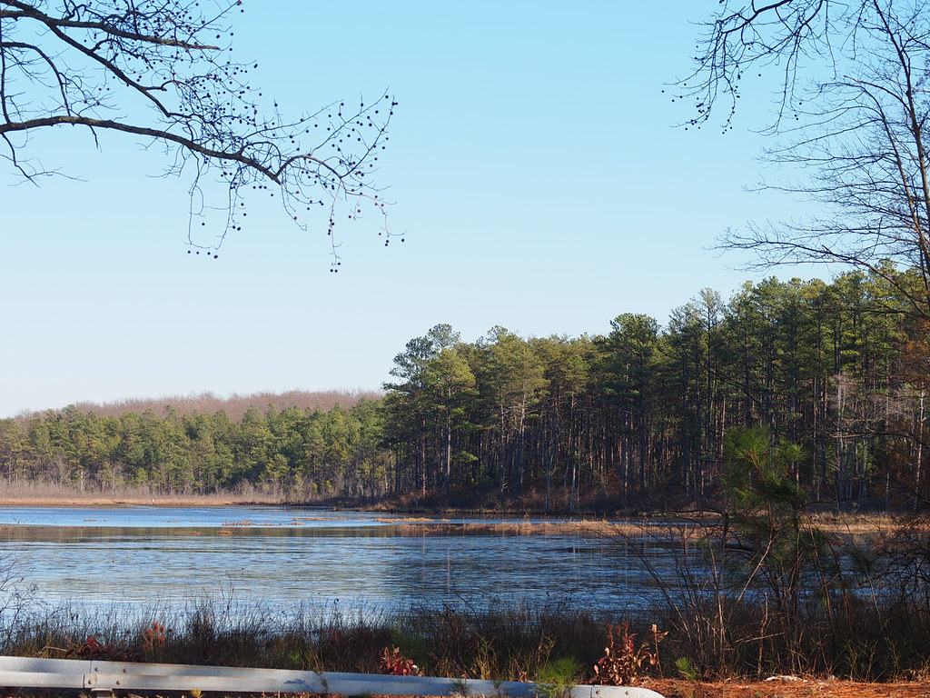 Frozen Meadow Creek Pond, completely frozen over. Graham Hunt Flickr