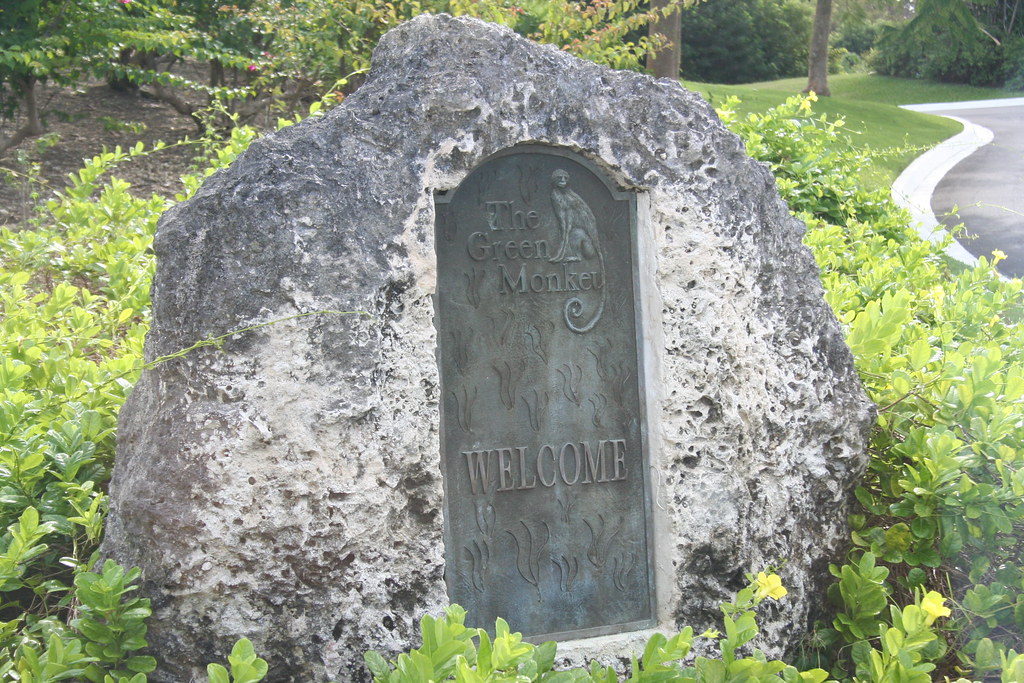 The Green Monkey at Sandy Lane No not the most expensive a… Flickr