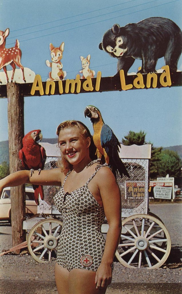 Animal Land Lake New York Lake NY Route … Flickr