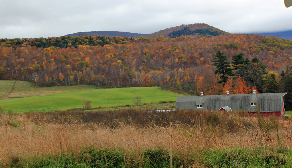 Elevation of Grafton Peace Pagoda, 87 Crandall Rd, Petersburg, NY, USA