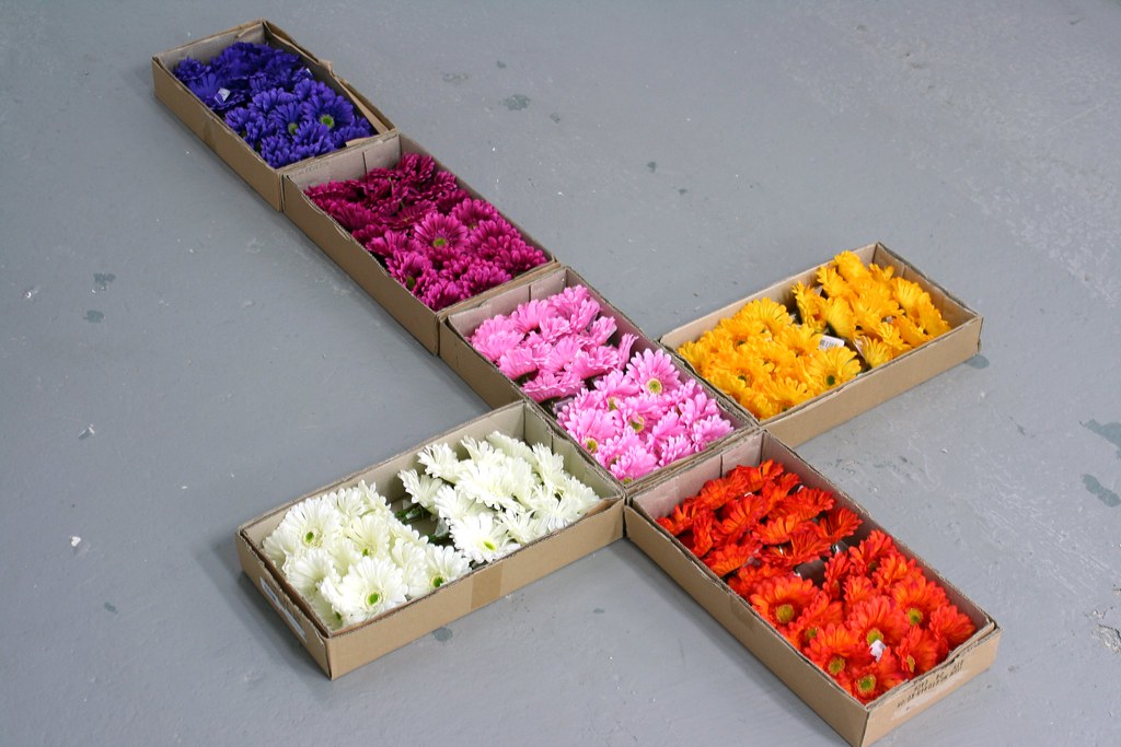 144 Silk Flowers in Six Boxes Installation on floor, 5' x … Flickr