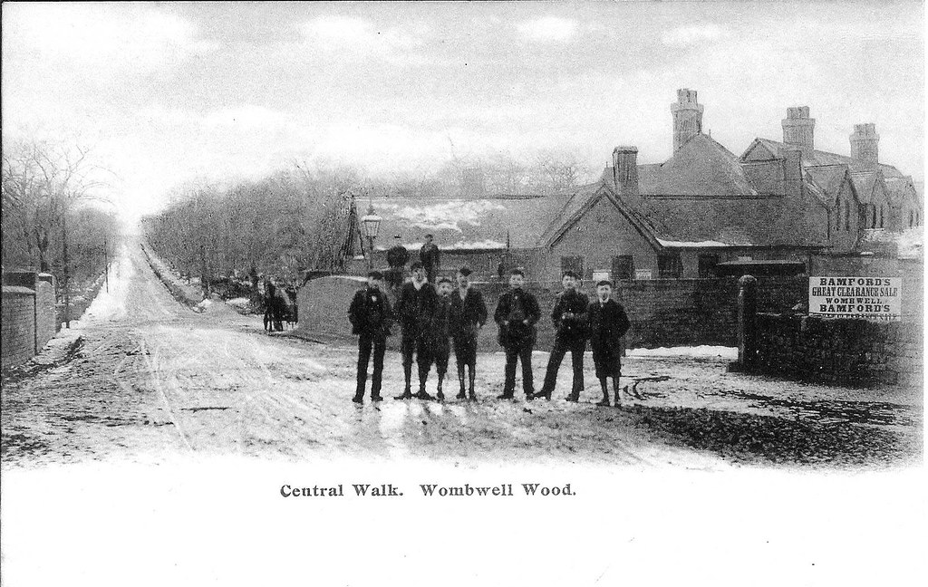 Central Walk, Wombwell Wood, near Barnsley, South Yorkshir… Flickr
