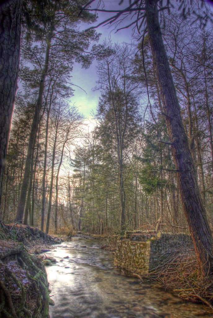 Mont Alto Stream A stream in Mont Alto State forest captur… Flickr