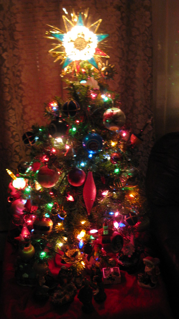 The lighted family Christmas tree. Elmwood Park Illinois U… Flickr