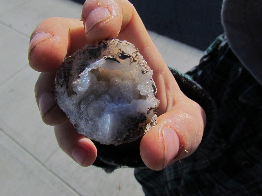 Florida limestone geode Florida limestone geode in Hollywo… Flickr