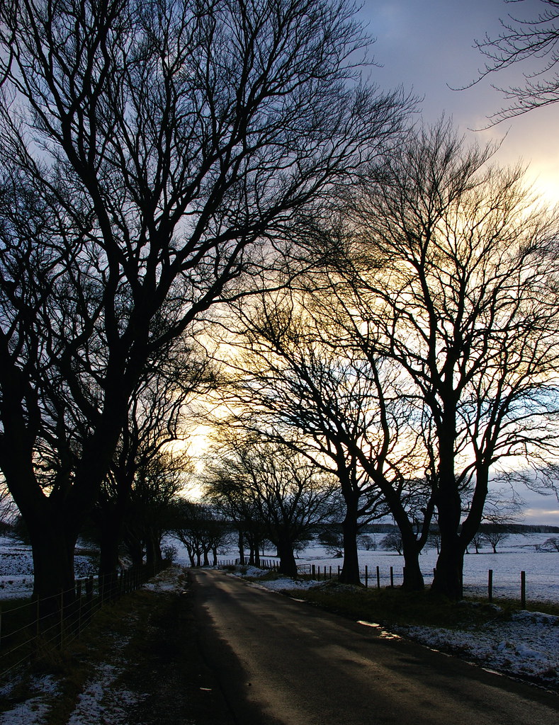 IMGP1055 Toward Whitelee from road to Ardochrig. Portrait … Flickr