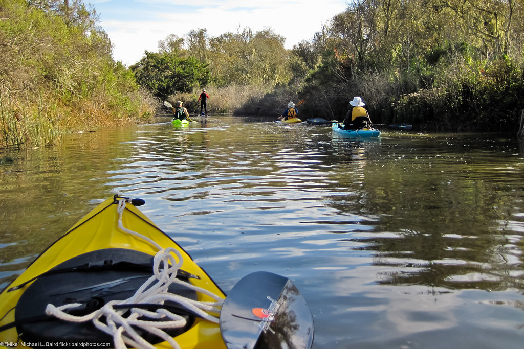 Heading up Los Osos Creek from the Morro Bay Estuary back bay, (LR