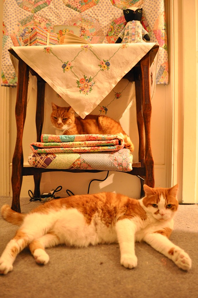 Kitty Bed? Actually it's my new display table! Blogged at… Flickr