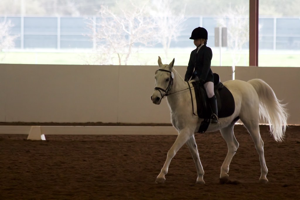 20120122 Houston Horse Show Flickr