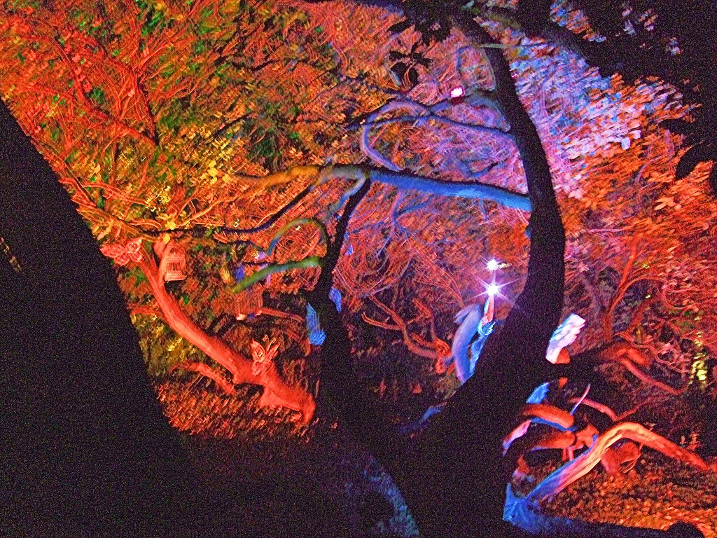 A Magic Tree InThe Enchanted Woodland, Syon Park, Brentfor… Flickr