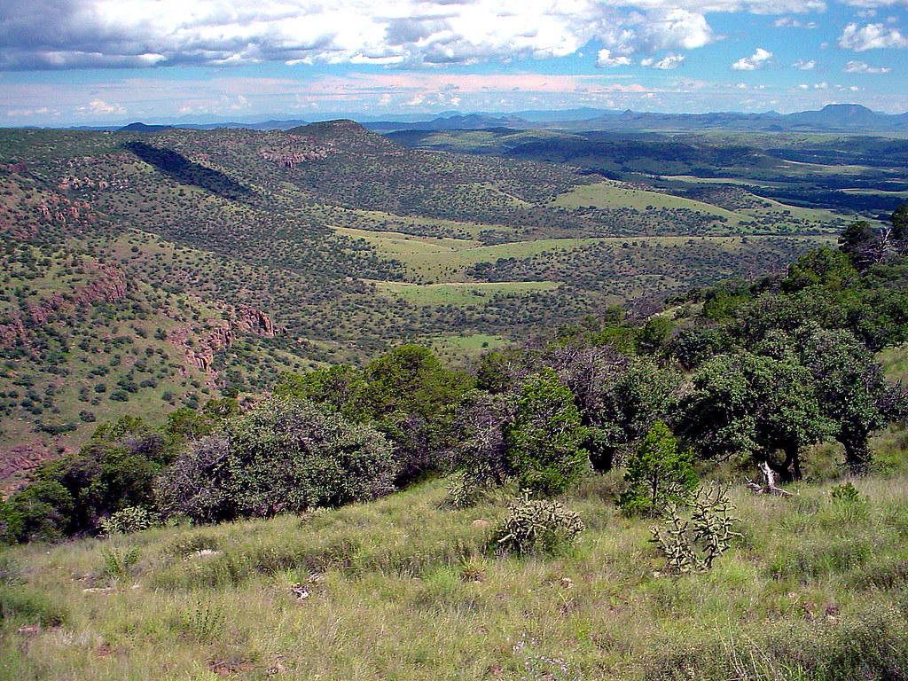 Texas Jeff Davis County Tricolor Brian Flickr