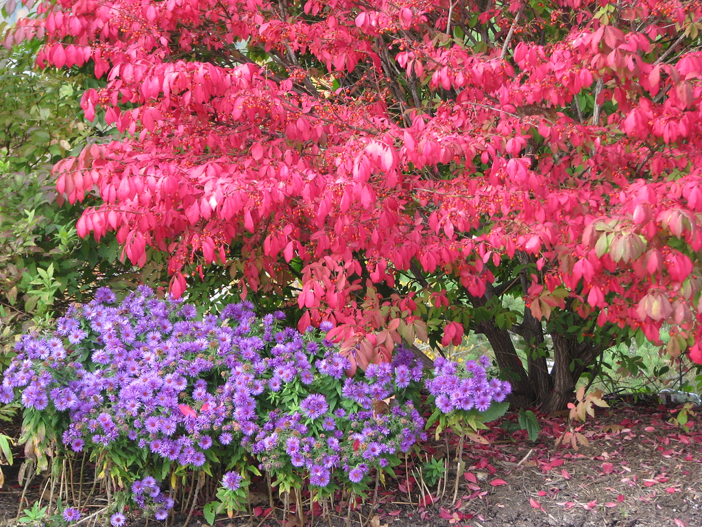 Almost Almost Heaven Just a few miles into Maryland from W… k long