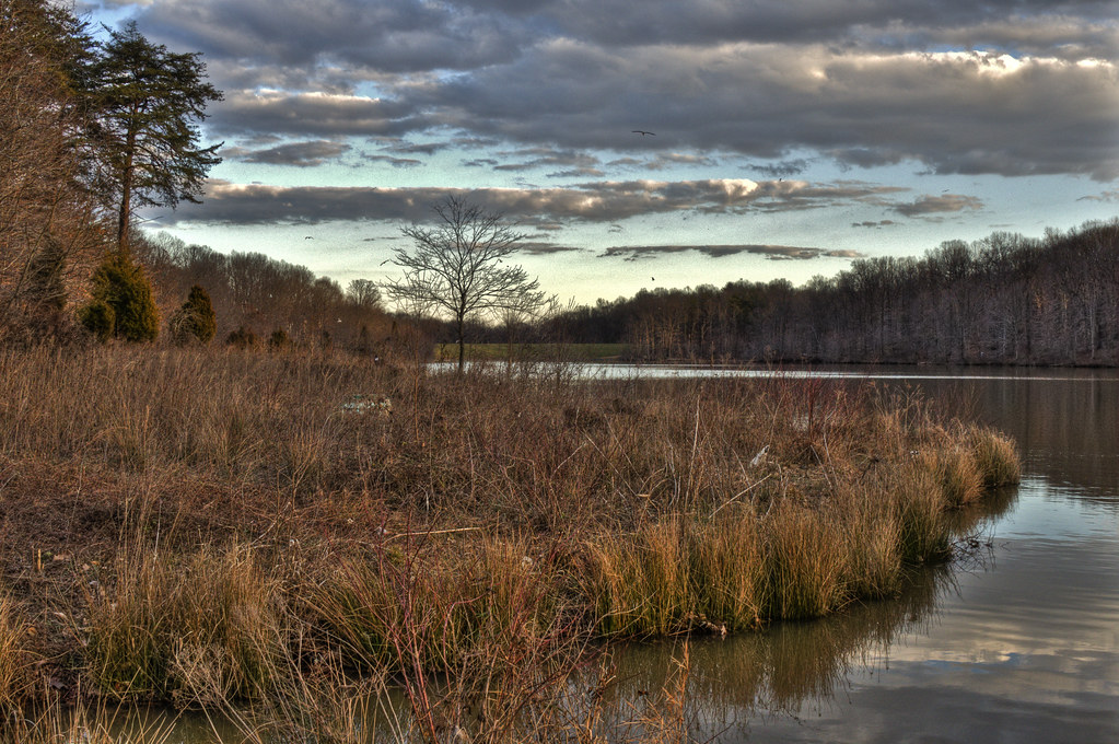 Huntsman Lake Later Afternoon At Huntsman lake to check ou… Flickr
