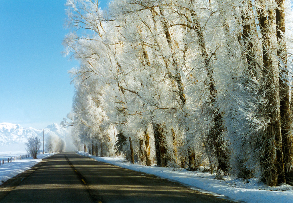Wyoming Winter Morning After a very cold February morning … Flickr