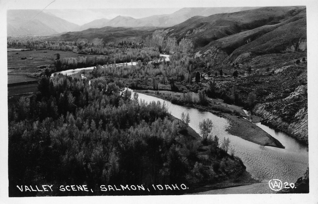 [IDAHOB0113] Salmon River Salmon Image Title Salmon R… Flickr