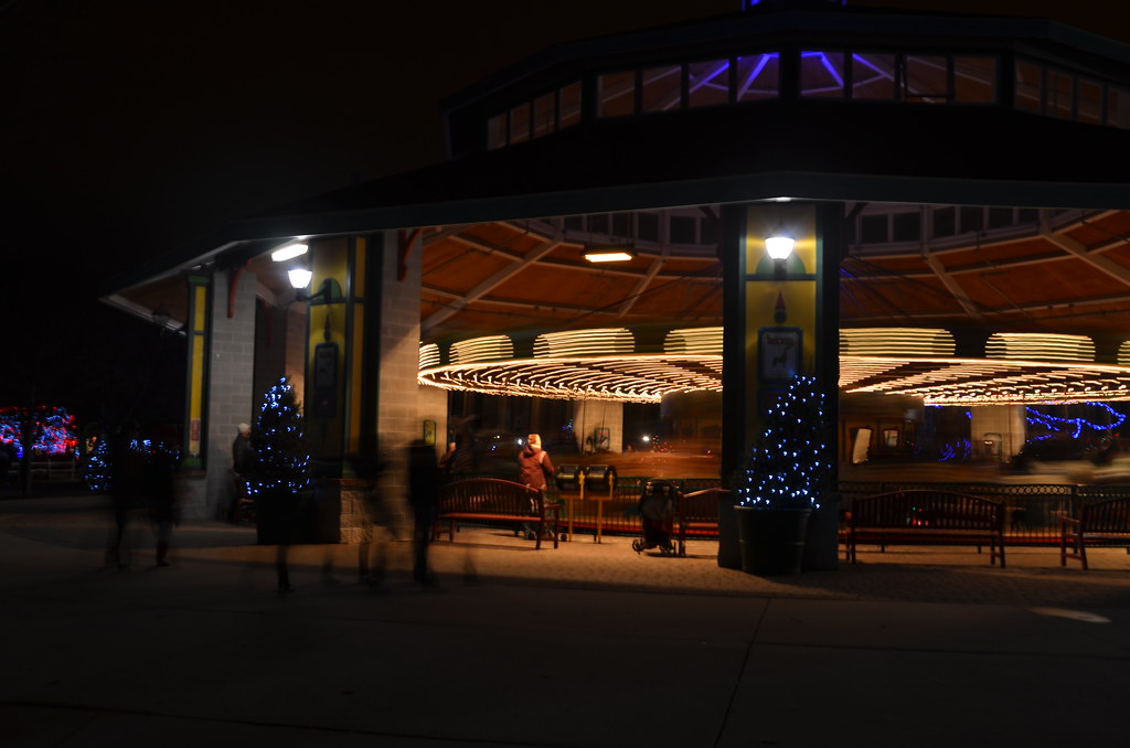 Christmas Lights at Brookfield Zoo 107 Photo taken by Mich… Flickr