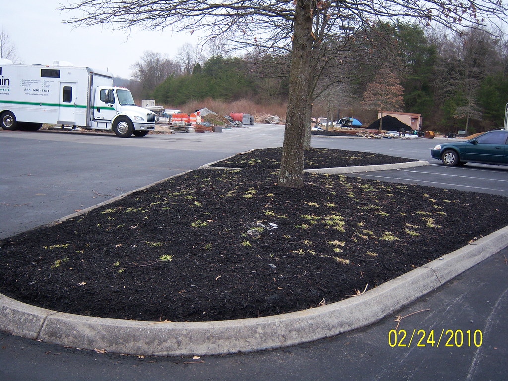 Union Park2010 landscaping plan Flickr