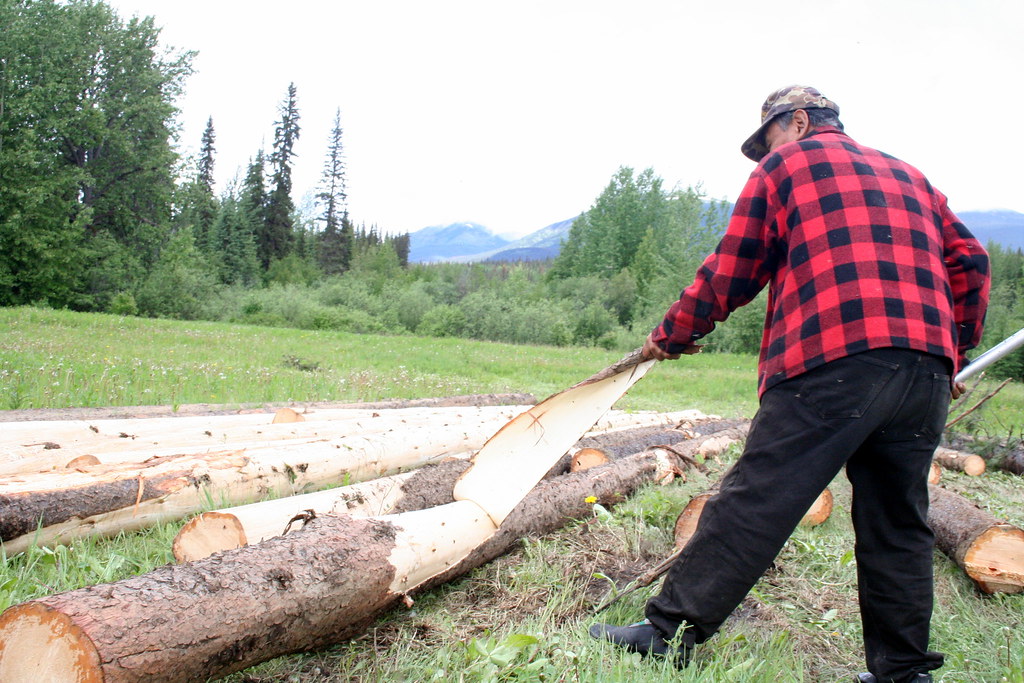 Demonstrating how to strip logs for building In Old Hogem.… Takla