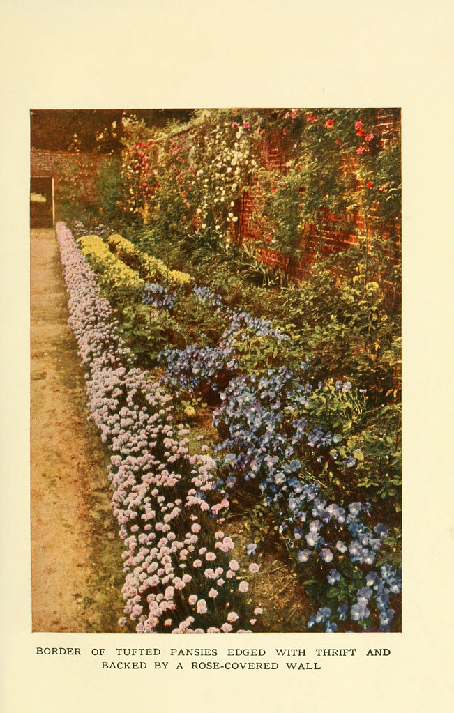 n78_w1150 The book of hardy flowers New York,Funk & Wagnal… Flickr