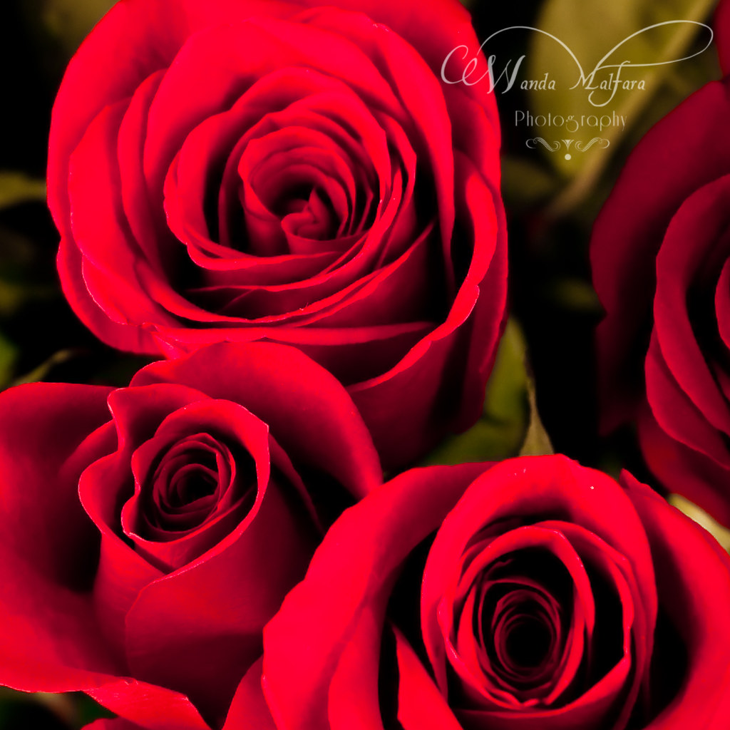 Flower Shop Opening 0682 wm Wanda Malfara Flickr